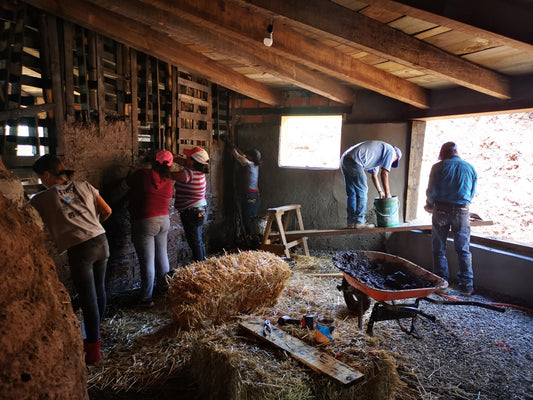 ¿Cómo se comportan las casas de paja en climas lluviosos y con mucho viento? 🌧️💨